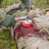 croc combat ready clamp applied